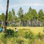 MARENA protege bosques del Caribe Norte con taller de semillas forestales Foto: MARENA forma guardianes ambientales/ Cortesía