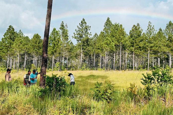 Foto: MARENA forma guardianes ambientales/ Cortesía
