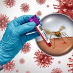 Virus del Nilo Occidental pone en alerta a Italia: casos y muertes en ascenso Foto: Virus del Nilo Occidental pone en alerta a Italia: casos y muertes en ascenso / Cortesía