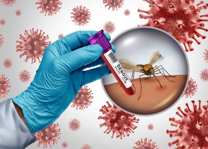 3 Foto: Virus del Nilo Occidental pone en alerta a Italia: casos y muertes en ascenso / Cortesía