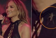 Foto: Jennifer López vive momento inesperado con un grillo /Cortesía