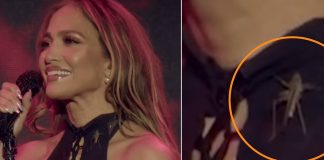 Foto: Jennifer López vive momento inesperado con un grillo /Cortesía