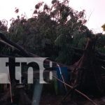 Managua azotada por un vendaval: Lluvias torrenciales y fuertes vientos causan estragos Foto: Managua azotada por un vendaval: Lluvias torrenciales y fuertes vientos causan estragos/TN8
