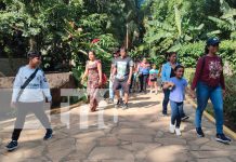 Foto: Zoológico Nacional y Volcán Masaya /TN8