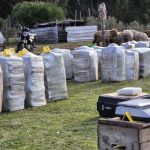 Uruguay incauta toneladas de cocaína valuadas en 50 millones de dólares Foto: Incautan más de dos toneladas de cocaína en Uruguay /Cortesía