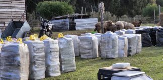 Foto: Incautan más de dos toneladas de cocaína en Uruguay /Cortesía