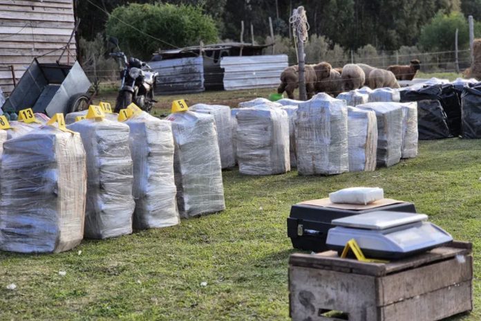 Foto: Incautan más de dos toneladas de cocaína en Uruguay /Cortesía Foto: Incautan más de dos toneladas de cocaína en Uruguay /Cortesía