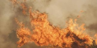 Foto: España sufre su peor crisis de incendios en la historia /Cortesía