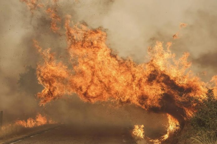 Foto: España sufre su peor crisis de incendios en la historia /Cortesía