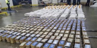 Foto: Incautan en Costa Rica 500 paquetes de cocaína /Cortesía