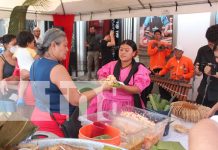 Masaya celebra su tradición culinaria con degustación gratuita de baho Foto: Masaya se llena de aroma y sabor / TN8