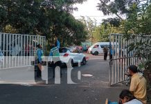 Foto: Guarda de seguridad pierde la vida tras ser arrollado en su centro de labores en Managua/TN8