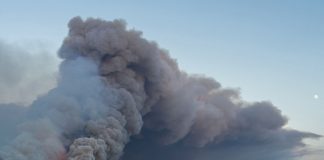 Foto: Nueve heridos en un gran incendio forestal en Francia /Cortesía
