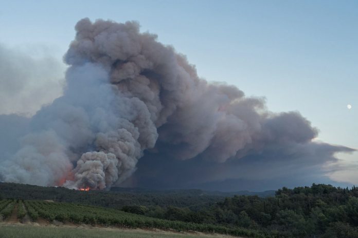 Foto: Nueve heridos en un gran incendio forestal en Francia /Cortesía Foto: Nueve heridos en un gran incendio forestal en Francia /Cortesía