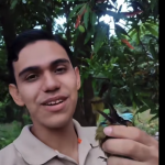 Guardabarranco atrapado en trampa conmueve a Nicaragua y es rescatado por Iván Explorer Foto: Iván Explorer, tiktoker de Nicaragua, rescata a un Guardabarranco