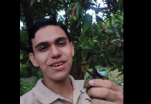 Guardabarranco atrapado en trampa conmueve a Nicaragua y es rescatado por Iván Explorer Foto: Iván Explorer, tiktoker de Nicaragua, rescata a un Guardabarranco