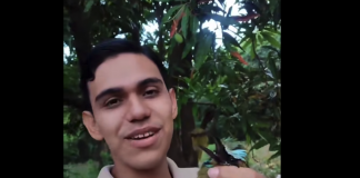 Foto: Iván Explorer, tiktoker de Nicaragua, rescata a un Guardabarranco