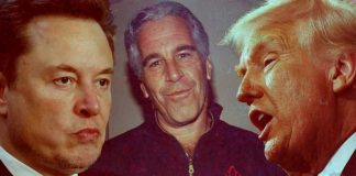 Foto: Elon Musk revela detalles de la lista de Epstein