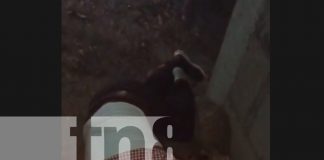Foto: Accidente en Villa El Carmen, Managua/ TN8