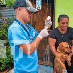 Foto: Minsa activa jornada de vacunación para perros en Masaya/TN8
