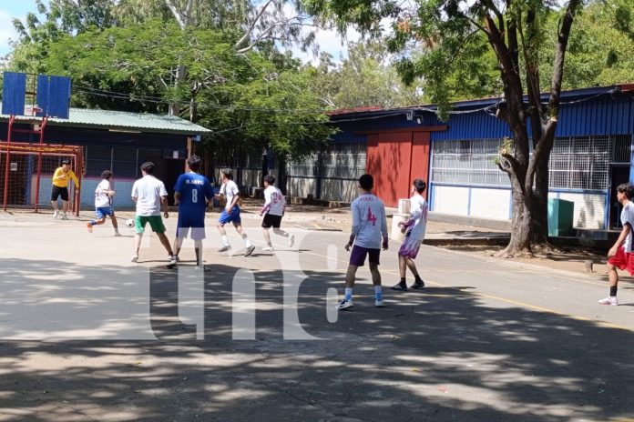 Foto: Cruzada de Alfabetización con deporte y reforestación /TN8