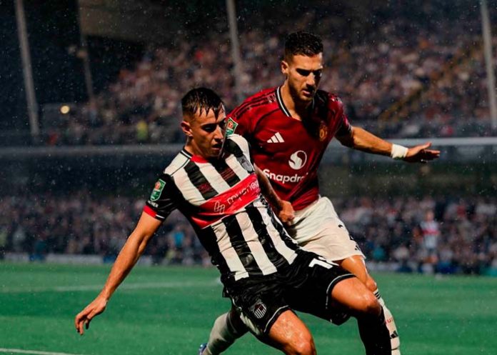 manchester, united, newcastle, fútbol,