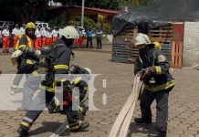 Foto: Bomberos se capacitan en investigación de incendios /TN8