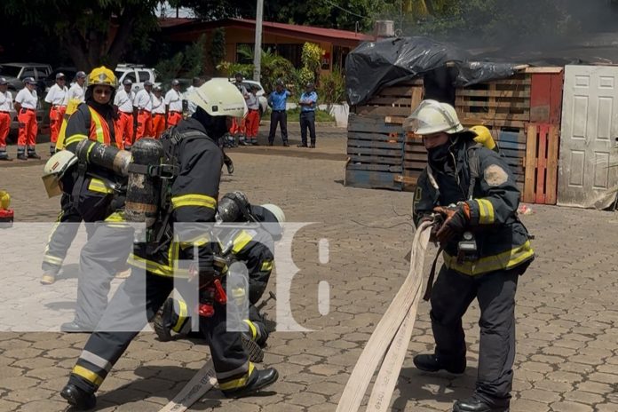 Foto: Bomberos se capacitan en investigación de incendios /TN8 Foto: Bomberos se capacitan en investigación de incendios /TN8