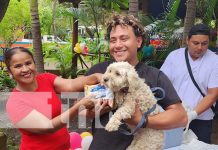 Foto: Campaña de vacunación contra la rabia en Nicaragua / TN8