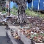 Frente a colegio de Managua: tiran basura, animales muertos y causa enfermedades Foto: Terrible basurero clandestino cerca de colegio en Managua / TN8