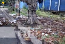 Frente a colegio de Managua: tiran basura, animales muertos y causa enfermedades Foto: Terrible basurero clandestino cerca de colegio en Managua / TN8