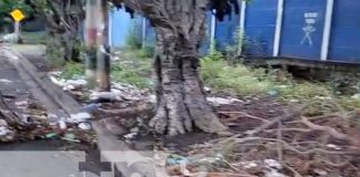 Foto: Terrible basurero clandestino cerca de colegio en Managua / TN8