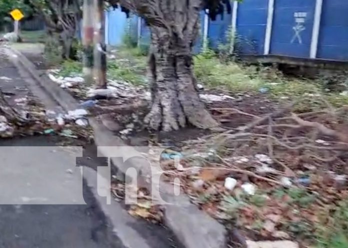 Foto: Terrible basurero clandestino cerca de colegio en Managua / TN8