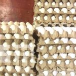 Bajan los huevos y sube ligeramente el queso: Canasta básica en Nicaragua Foto: Precios de la canasta básica en Nicaragua / TN8