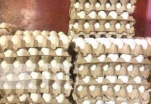 Bajan los huevos y sube ligeramente el queso: Canasta básica en Nicaragua Foto: Precios de la canasta básica en Nicaragua / TN8