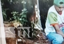Grave accidente laboral deja herido a minero artesanal en Bonanza Foto: Accidente con minero artesanal en Bonanza / TN8