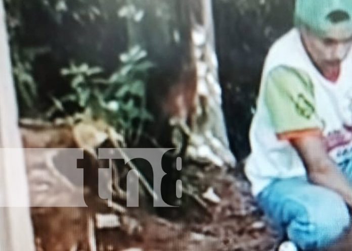 Foto: Accidente con minero artesanal en Bonanza / TN8 Foto: Accidente con minero artesanal en Bonanza / TN8