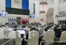 Foto: Sesión parlamentaria en la Asamblea Nacional de Nicaragua / TN8