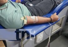 Foto: Donación de sangre desde la UNAN-Managua / TN8
