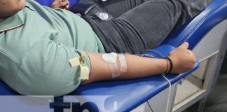 Foto: Donación de sangre desde la UNAN-Managua / TN8