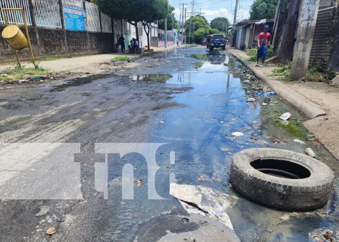 Foto: Aguas residuales en Linda Vista y Villa Guadalupe, Managua / TN8 Foto: Aguas residuales en Linda Vista y Villa Guadalupe, Managua / TN8