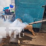 MINSA fumiga y abatiza 573 viviendas en el barrio Jorge Cassally, Managua Foto: Fumigación en barrios de Managua / TN8