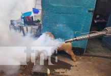 Foto: Fumigación en barrios de Managua / TN8