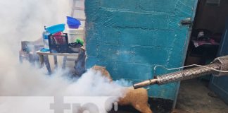 Foto: Fumigación en barrios de Managua / TN8