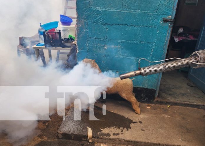 Foto: Fumigación en barrios de Managua / TN8 Foto: Fumigación en barrios de Managua / TN8
