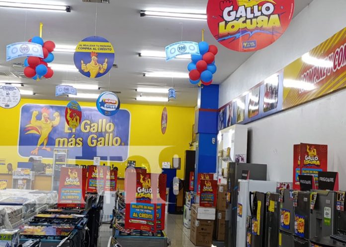 Foto: Grandes ofertas con El Gallo Más Gallo Foto: Grandes ofertas con El Gallo Más Gallo