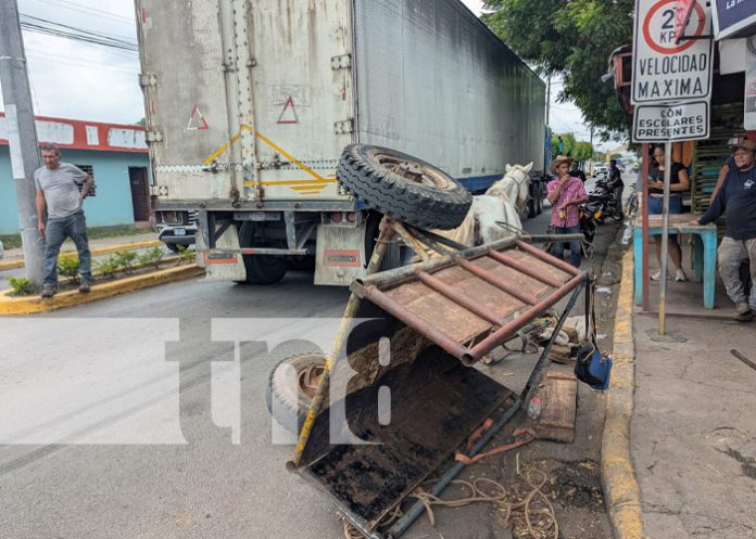 Foto: Accidente con furgón en Granada / TN8