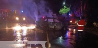 Foto: Dos muertos por accidente en León / TN8
