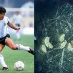 Un caracol argentino rinde homenaje a Maradona: nace “Bogasonia maradoniana” Foto: Maradona es inmortalizado en el fondo del mar argentino /Cortesía