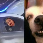 Y los pillaron en la patrulla del placer: Memes en las redes están que arden Foto: Sorprendidos dentro de patrulla (memes) /Cortesía